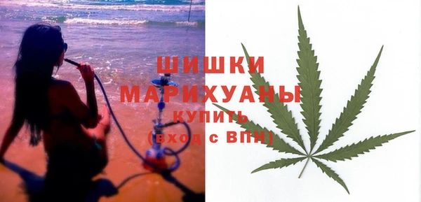 дмт Алзамай