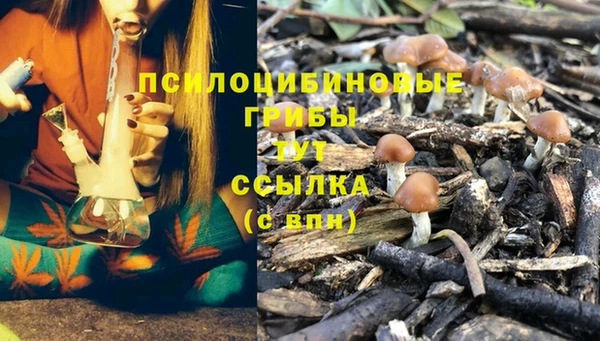 бошки Абинск