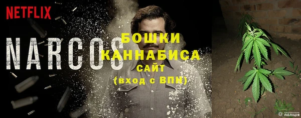 прущие грибы Абдулино