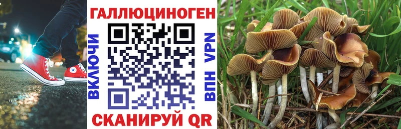 Псилоцибиновые грибы Cubensis наркотики OMG ссылка Брюховецкая