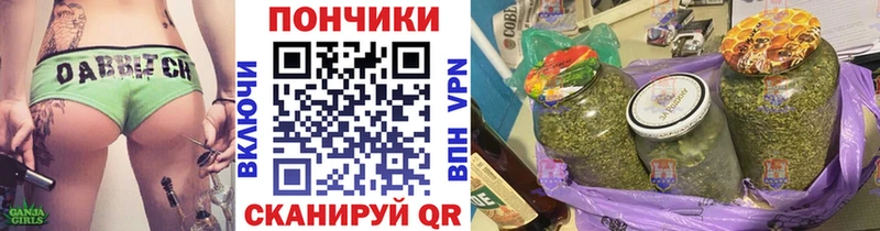 Канабис Amnesia  мориарти Telegram  Брюховецкая  OMG ONION 